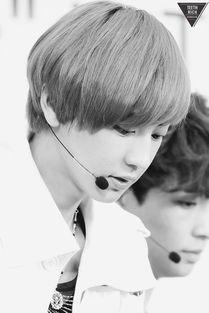 或许我愿意,探寻人生选择的勇气与智慧