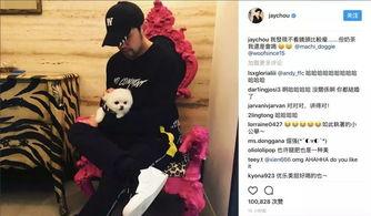 杰伦和艾玛,跨界合作，演绎音乐与时尚的完美融合